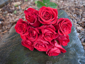 The Classic - Red Roses - Mountain Meadows Flowers